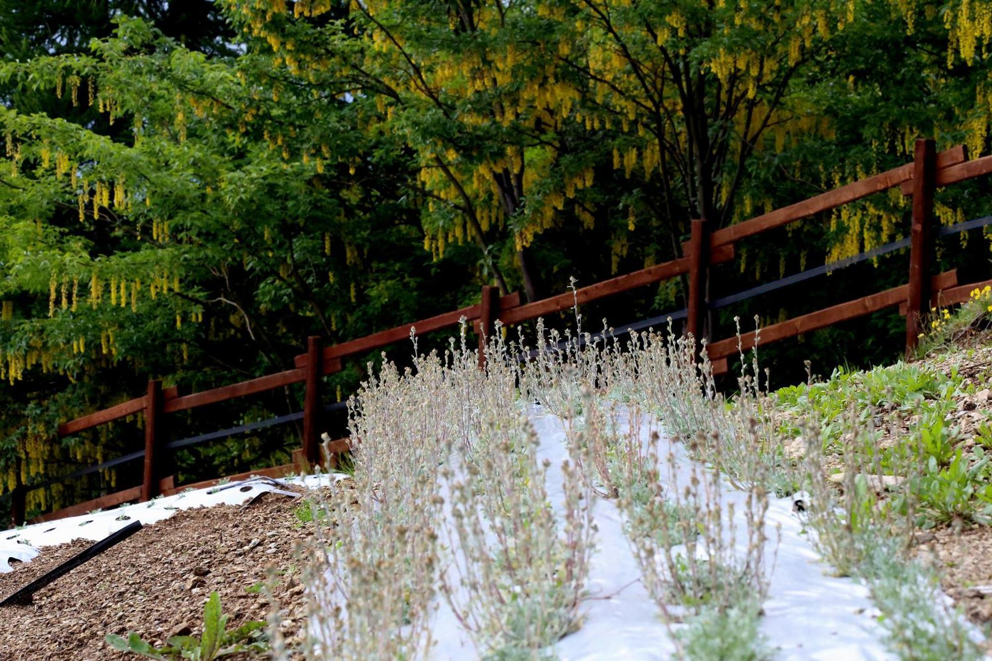Agriturismo A Nostro Mizoun Ostana Luaran gambar